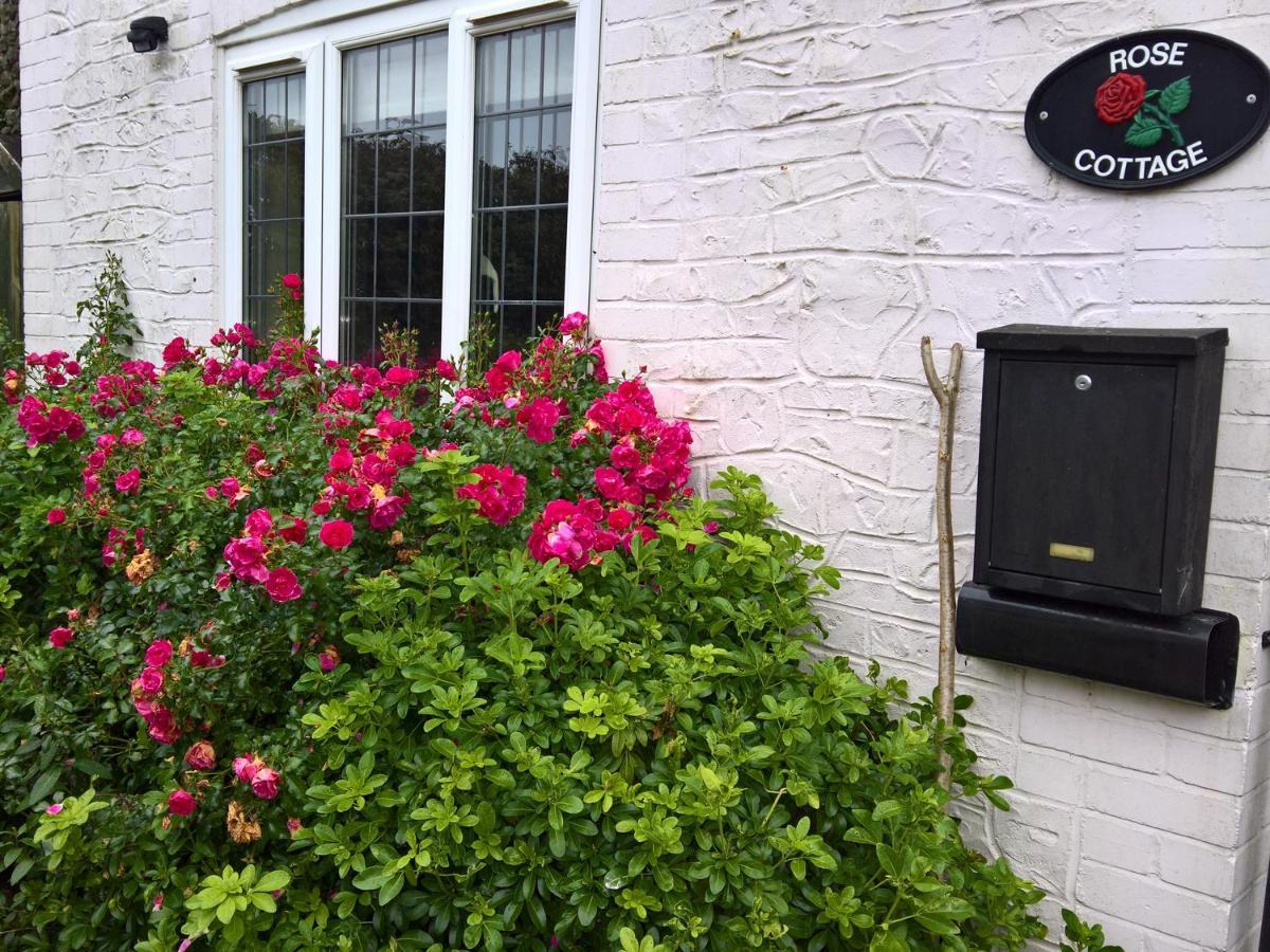 Rose Cottage Chard Exterior photo